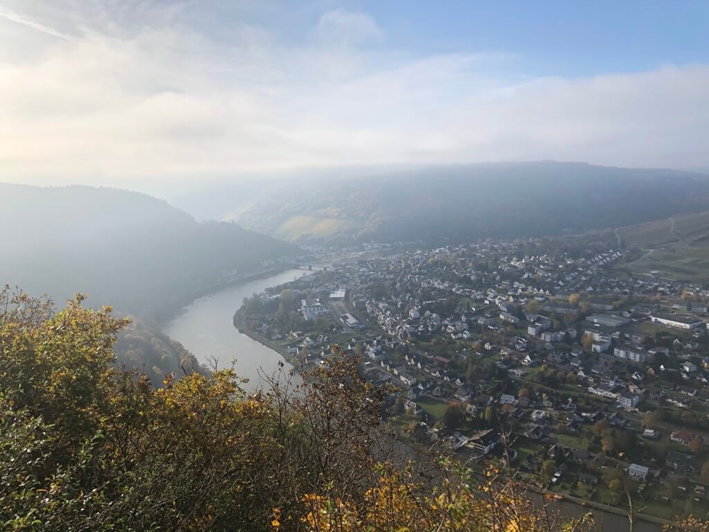 seit über 2.000 Jahren wird an der Mosel Wein angebaut - die Vinothek und Weinhandlung wird das einzigartige Terroir der Mosel und ihre vielfältigen Weine repräsentieren